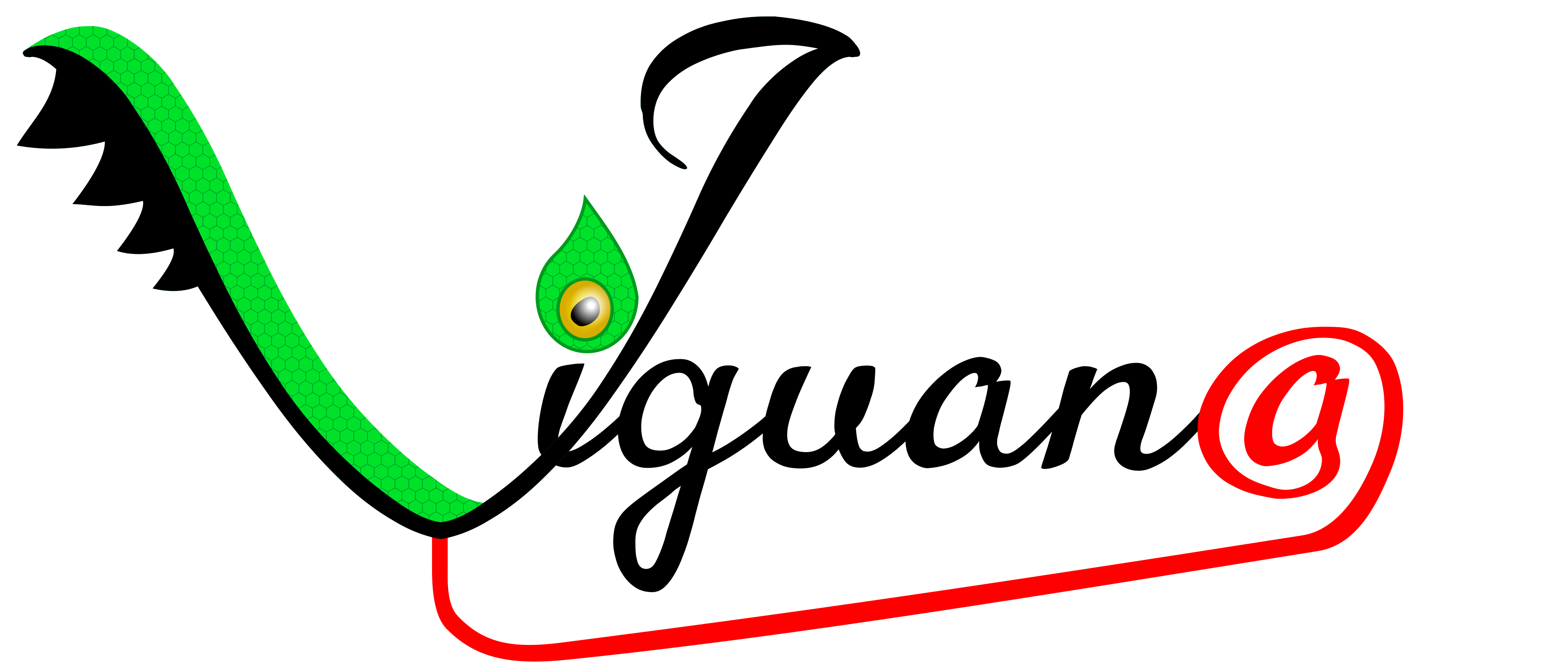 Viguana logo